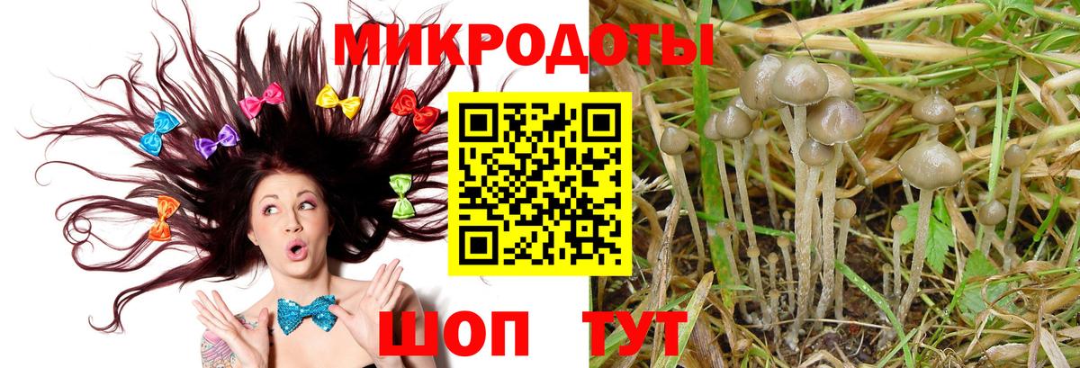 Псилоцибиновые грибы Cubensis Пятигорск