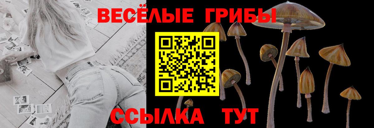 Пятигорск  Псилоцибиновые грибы Cubensis  Вход с VPN  Псилоцибиновые грибы Psilocybine cubensis 