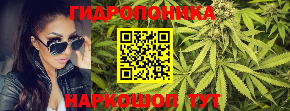 Канабис LSD WEED  Бошки марихуана тримм  Вход с VPN  Пятигорск 