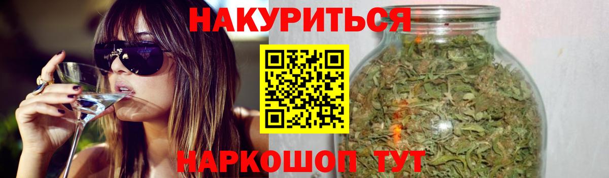 Каннабис план Пятигорск
